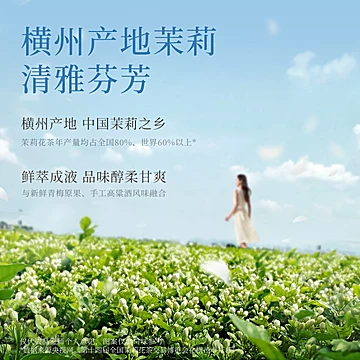 梅见茉莉青梅酒12度330ml微醺晚安酒多口味[7元优惠券]-寻折猪