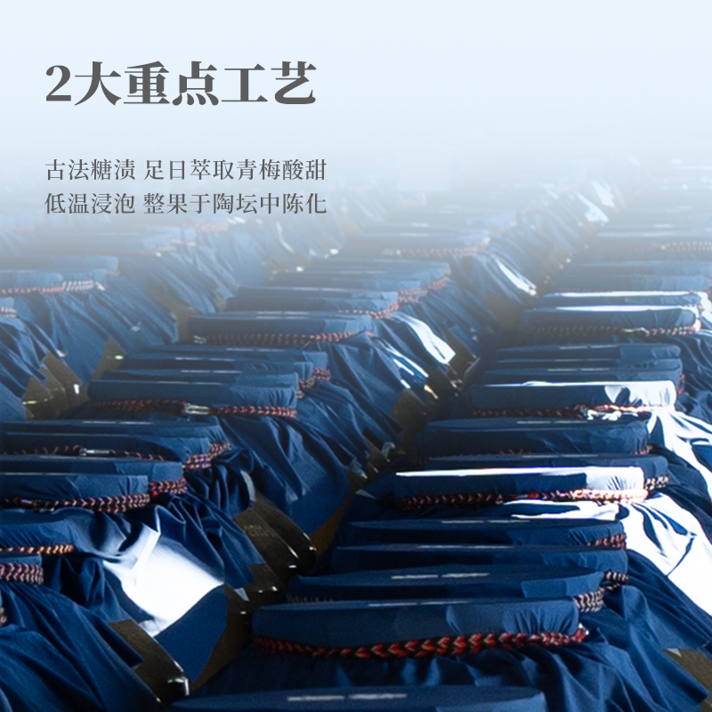 梅见原味青梅酒12度超酸版330ml*2瓶女士微醺果酒梅子酒梅酒