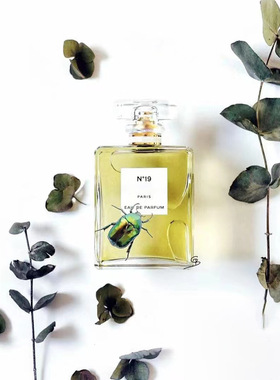 跨境外贸越南perfume经典可可N5号之水红色山茶花女士邂逅香水