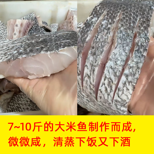 象山石浦爆腌米鱼段咸鱼清蒸下饭菜抱盐大米鱼薄盐抱盐米鱼段微咸 - 图0