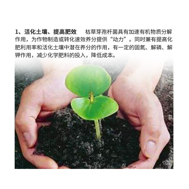 君德枯草芽孢菌杆菌农用微生物菌肥枯草杆菌菌剂菌肥菌种防病肥料