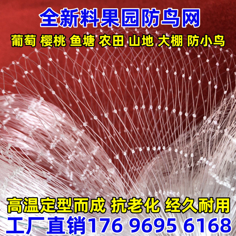 防鸟网果树防鸟用网葡萄樱桃果园菜地尼龙线纱网丝网大棚鱼塘天网,淘宝优惠券,粉丝福利购,淘宝优惠卷
