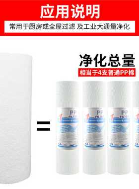 10寸大胖滤芯20寸大胖滤芯家用净水器全屋前置过滤器直饮水机通用