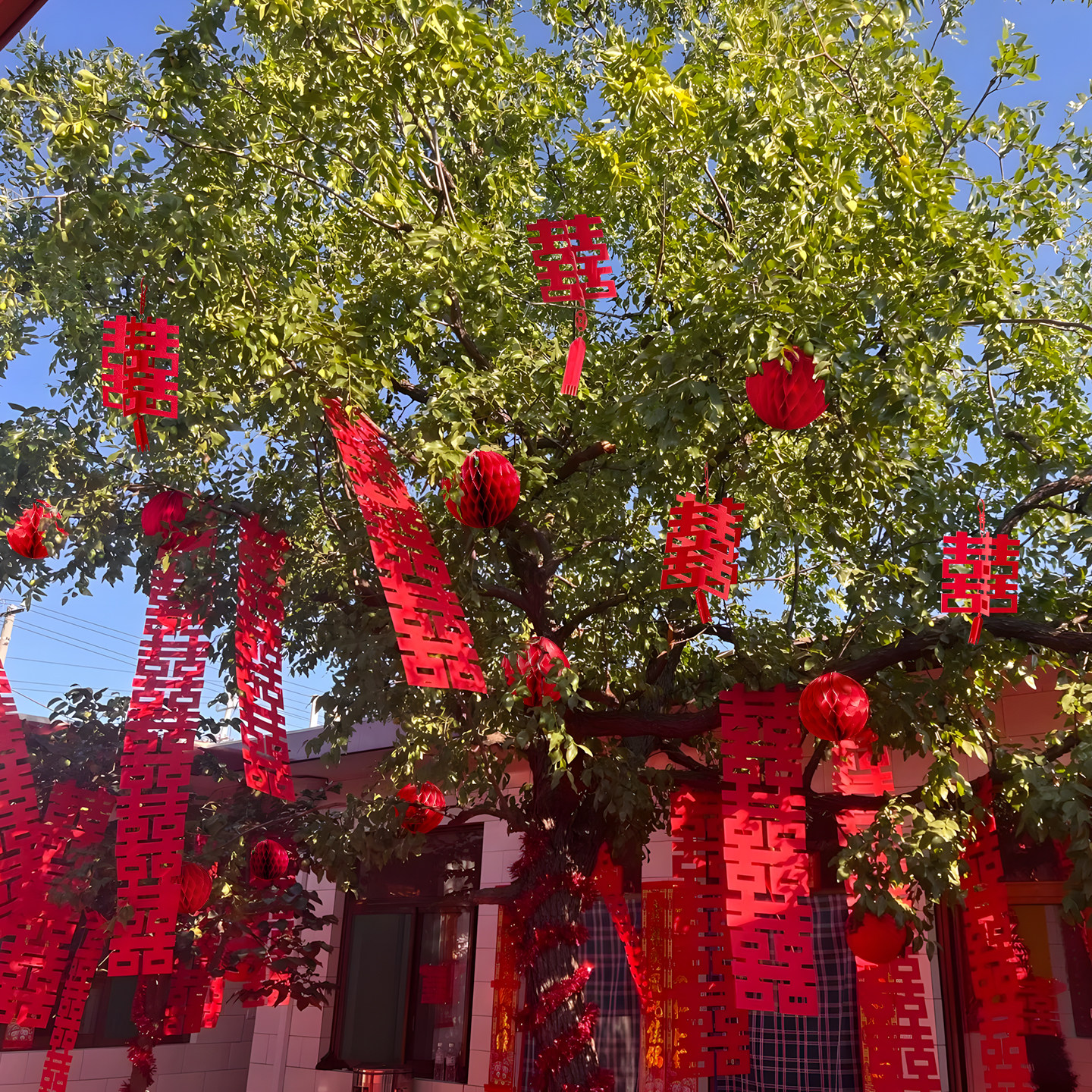 农村院子树上喜字灯笼挂饰结婚户外绿植布置装饰用品新房喜庆挂件,淘宝优惠券,粉丝福利购,淘宝优惠卷