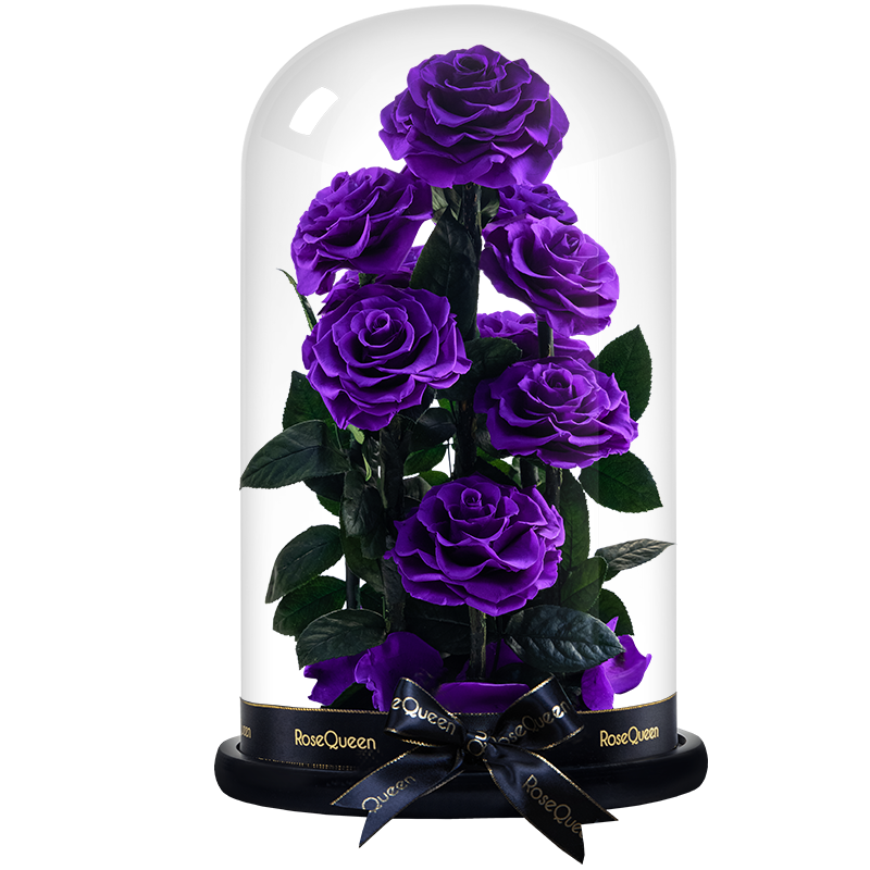 花逅永生花巨大号玻璃罩摆件9朵玫瑰花束七夕情人节送女朋友礼物