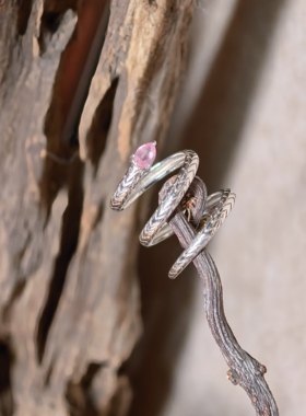 天然粉尖晶温柔蛇S925银多圈戒指