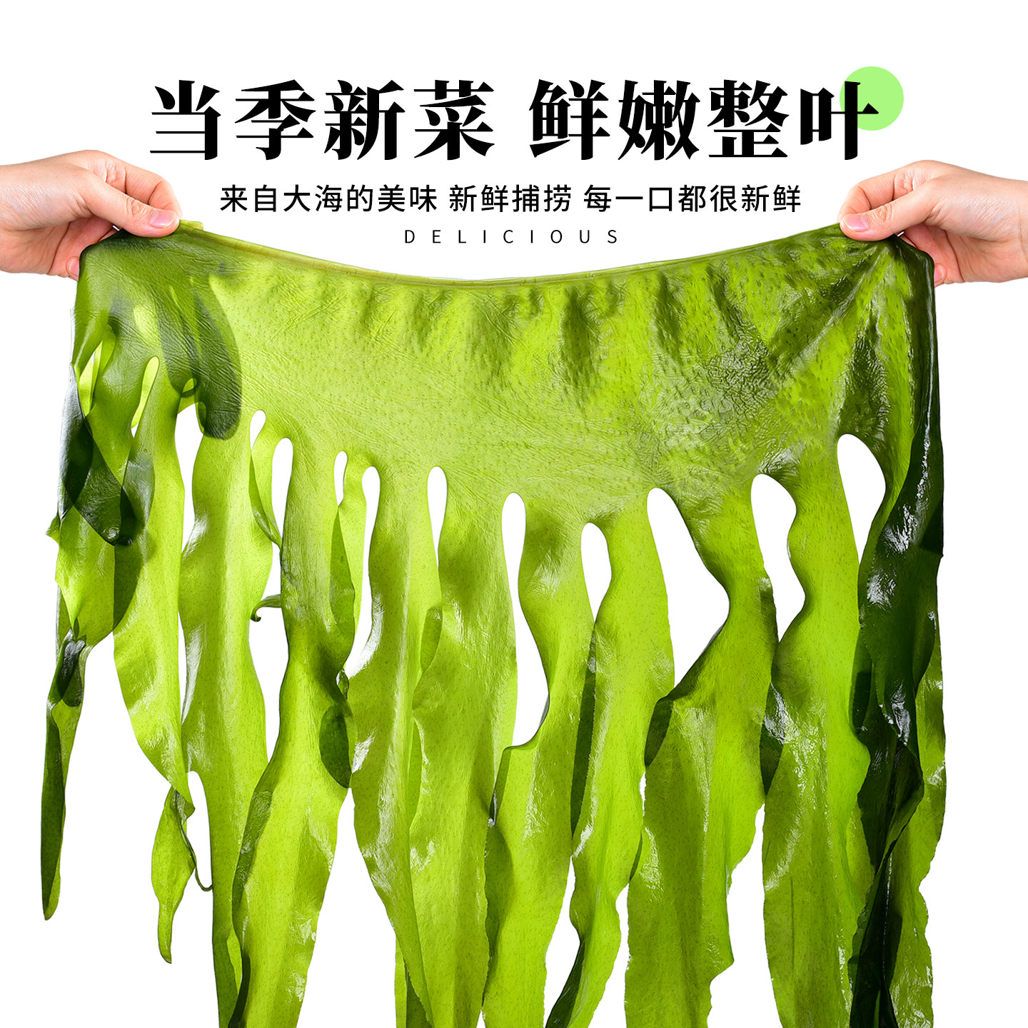 盐渍裙带菜正宗大连海带汤非烘干干货新鲜嫩芽商用批发独立小袋,淘宝优惠券,粉丝福利购,淘宝优惠卷