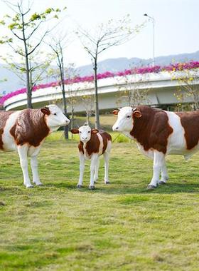 仿真安格斯黑牛模型大型玻璃钢牛雕塑餐厅牧场装饰西门塔尔牛摆件