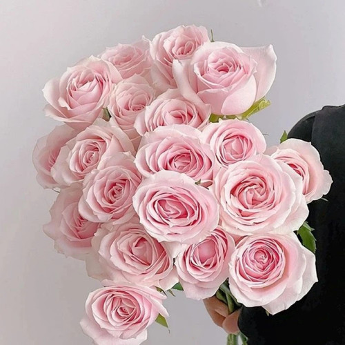玫瑰花鲜花云南昆明基地批直发百合向日葵红豆家用鲜切水养插 - 图2