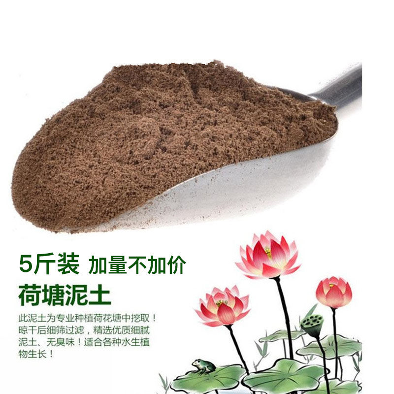 河泥 河塘泥淤泥荷塘泥碗莲睡莲专用土水生植物营养土荷花泥包邮 - 图3