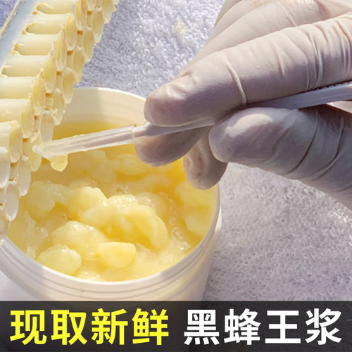 新疆黑蜂野山花蜂王浆纯正农家自产新鲜蜂皇浆不加工纯网红原浆 - 图2