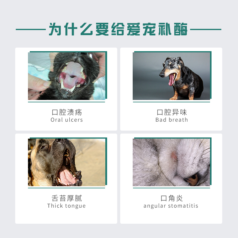 Petbaby倍贝宠物口腔消炎溃疡10g 热品库 性价比省钱购 Petbaby倍贝宠物口腔消炎溃疡10g 热品库 性价比省钱购