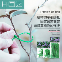 Monthly season Flower fixed buckle Bundled Line Vegetable Vines Fixed Climbing Vine plant binding wire strapping with gardening ties