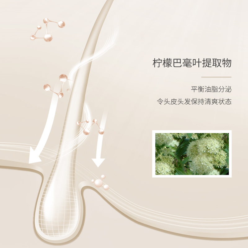 ficcecode菲诗蔻洗发水生姜巴毫温和清洁去屑止痒持久官方旗舰店
