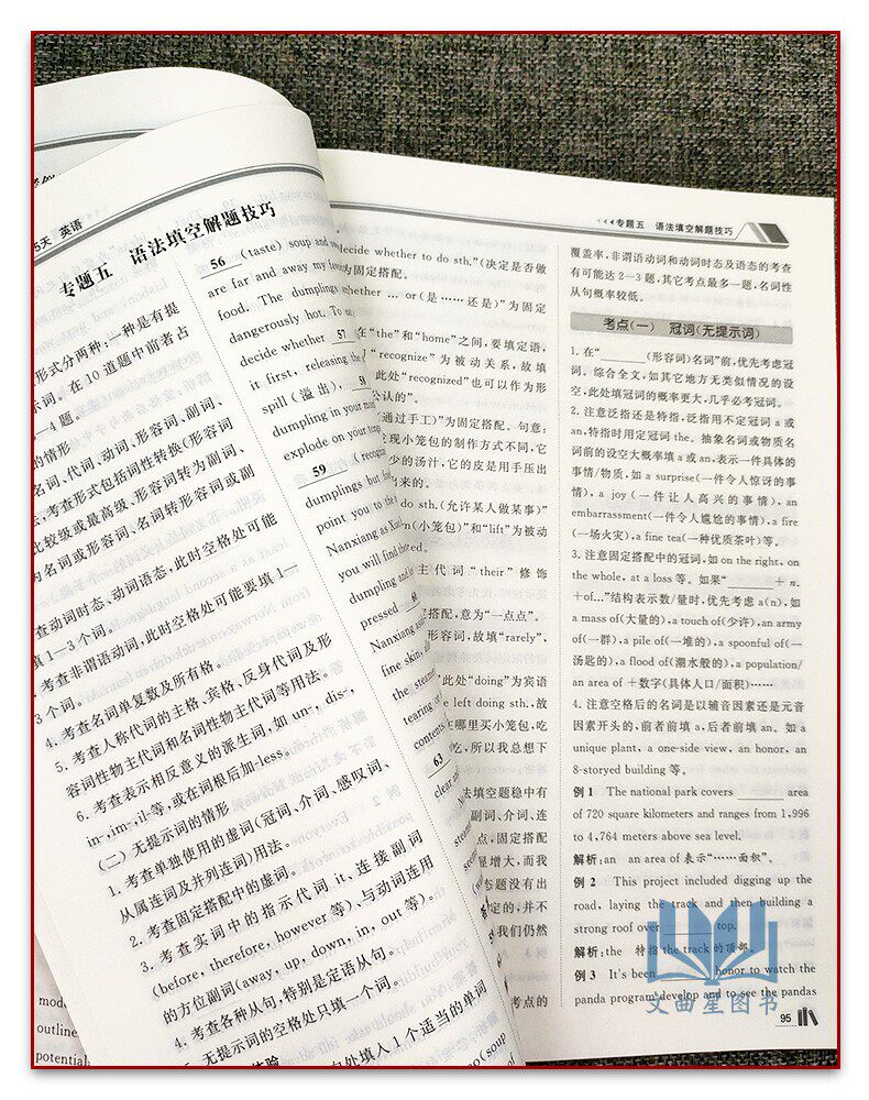 2024诚康文化高考倒计时精彩15天英语专题练轻松突破新素材新高考思路点拨核心考点高三冲刺备考训练书南京出版