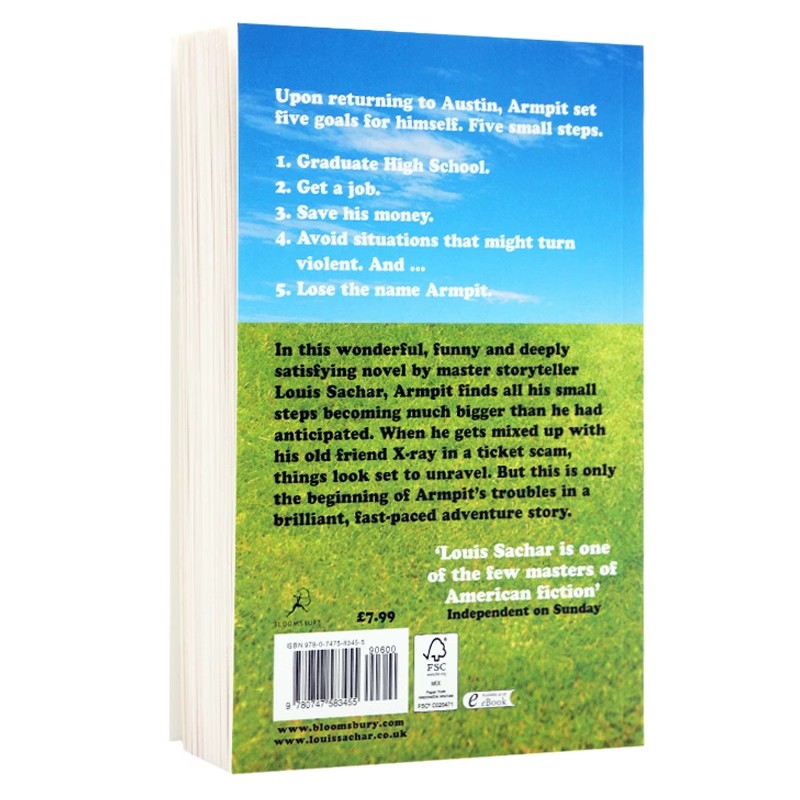 英文原版Small Steps追梦少年 路易斯萨奇尔 洞Holes续集 课外阅读Louis Sachar 英文版课外兴趣阅读书 纽伯瑞儿童文学奖 中图正版 - 图2