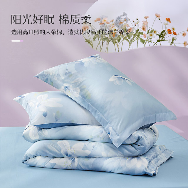 Mercury Home Textile 40S All-Cotton Printed Bed Sheet Combed Cotton Four-Piece Set Household Bedding Autumn and Winter New Products