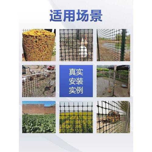 塑料网格养鸡围栏网鱼塘菜地鸡养殖防护栏栅栏玉米圈拦隔离网果园 - 图0