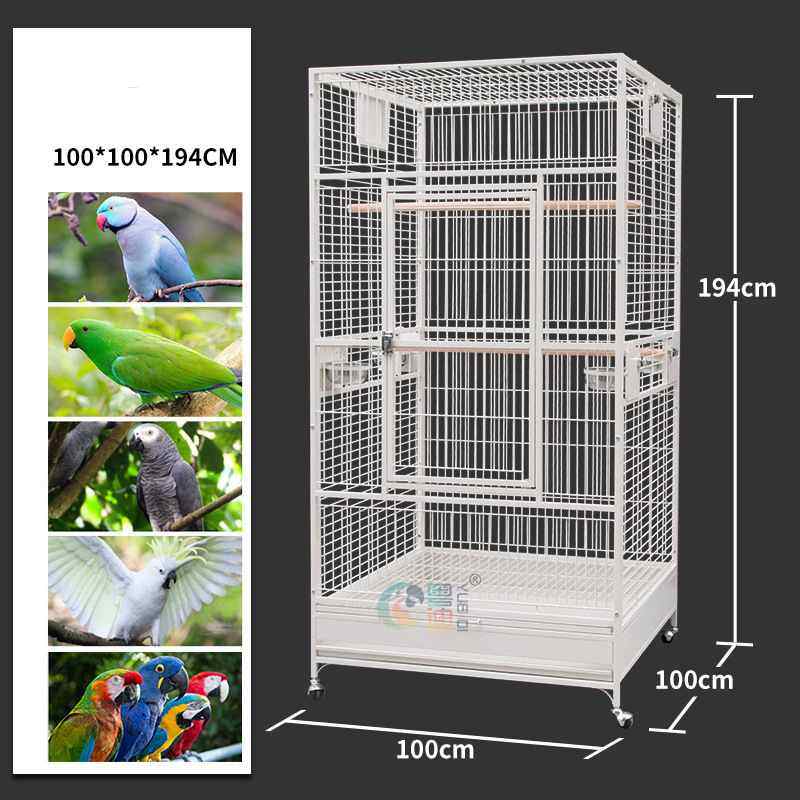 粤迪 鹦鹉鸟笼 特大号金属豪华群鸟鸟笼大型落地户外铁艺鸟笼8010,淘宝优惠券,粉丝福利购,淘宝优惠卷