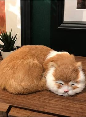 仿真猫咪动物模型家居装饰品桌面摆件真皮毛动物玩偶软装饰品摆设