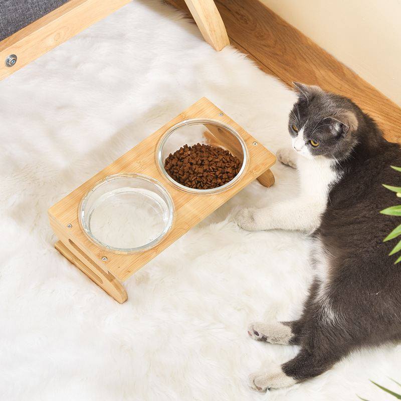 新品 玻璃猫碗猫咪食盆猫咪粮碗狗盆狗碗饮水碗双碗保护颈椎宠物,淘宝优惠券,粉丝福利购,淘宝优惠卷