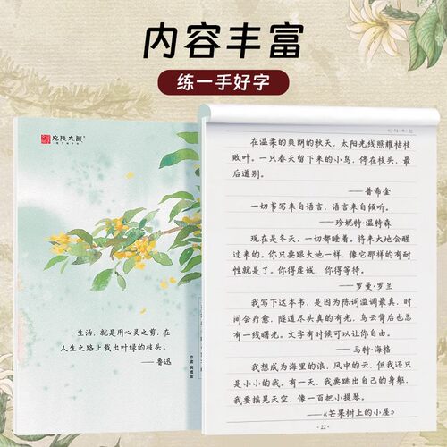 秋舫手写楷书字帖成人硬笔钢笔练字女生字体漂亮大气成年男生行楷手写体静心临摹落鲸体大学生高中生初中生专用初学者入门带临摹纸 - 图0