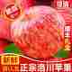 Authentic fresh-picked Luochuan apples! Crisp, sweet and juicy