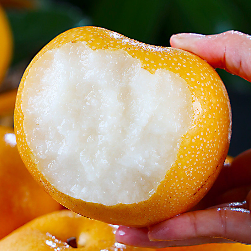 秋月梨子新鲜水果当季整箱正宗现摘莱阳黄花梨应季现摘礼盒装10斤