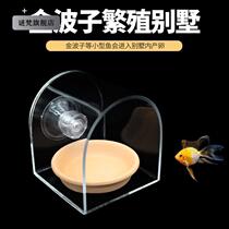 Golden Wave Subbreeding Villa Isolated Box Dogg Breeding Shelf Breeding Pan Hatchbox Short Snapper Acrylic