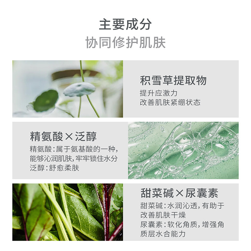  sorexisov化妆水/爽肤水