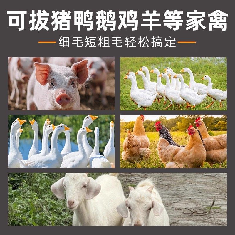 家用鸡毛鸭毛拔毛神器全自动款大功率型鸡鸭鹅猪拔毛器家禽脱毛机,淘宝优惠券,粉丝福利购,淘宝优惠卷