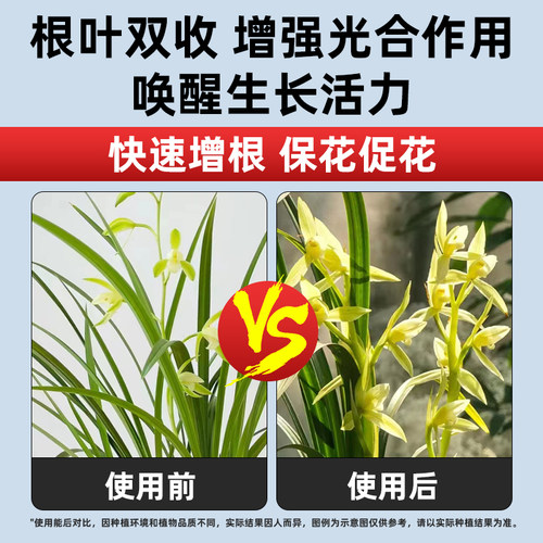 兰灵王兰花肥料专用肥多箭素蝴蝶兰微生物药君子兰陵王营养液 - 图1