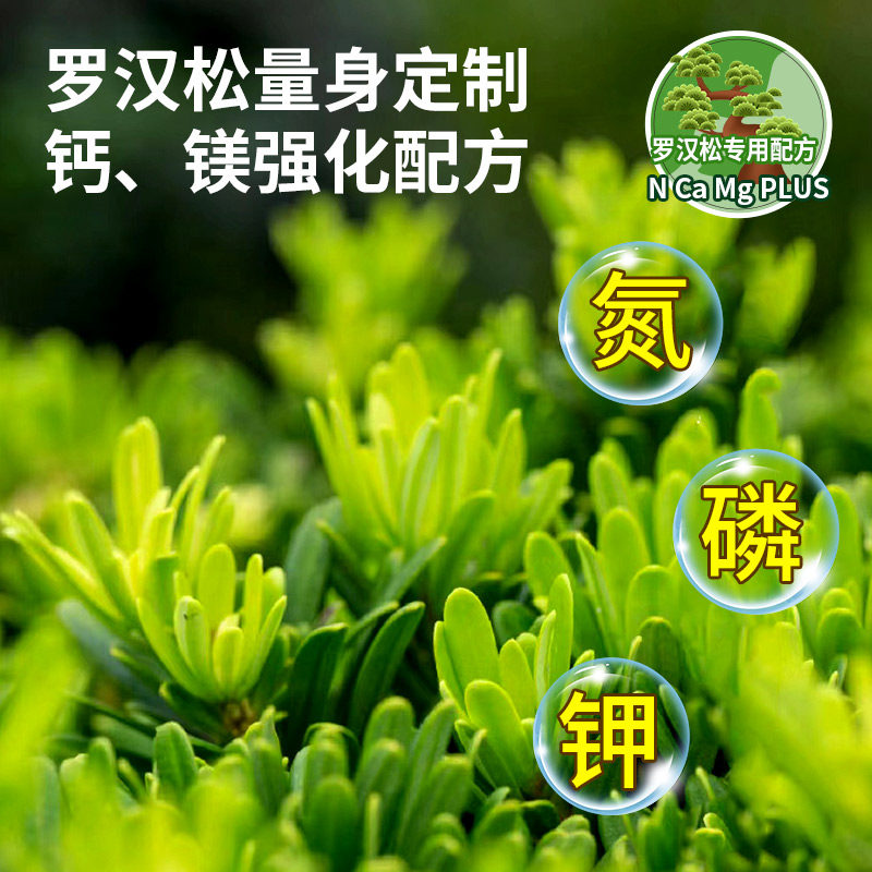 罗汉松专用肥营养液有机肥料免稀释室内盆栽植物通用型家用盆栽景,淘宝优惠券,粉丝福利购,淘宝优惠卷