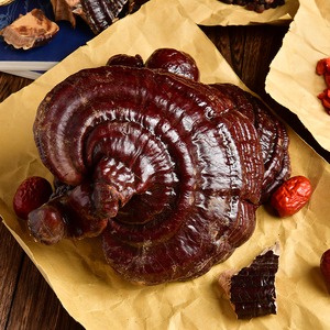 长白山东北半野生灵芝整朵