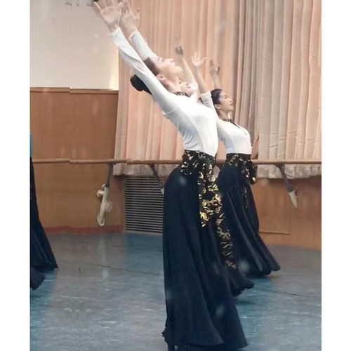 蒙古舞蹈练习裙藏族舞表演出服装艺考民族舞大摆裙新疆舞广场舞蹈 - 图0