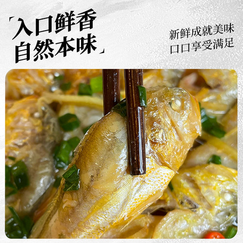 【不含冰衣】舟山新鲜梅童鱼特大梅子鱼大头宝东海宁波鲜活冷冻 - 图3