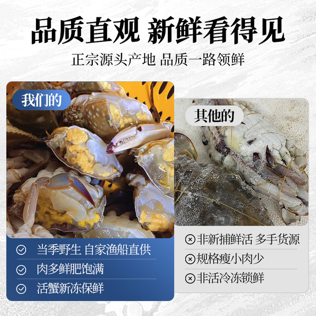 Newly caught swimming crabs