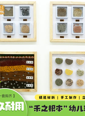 幼儿园环创种子展示主题墙贴