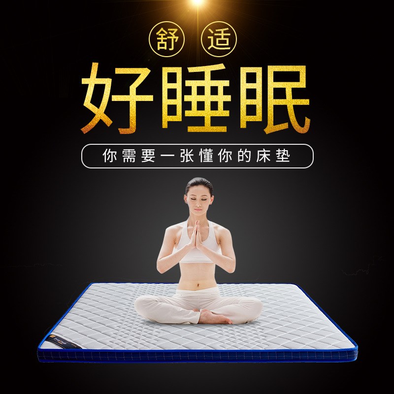 乳胶床垫1.8米椰棕1.5米椰棕棕榈软硬床垫经济型A8012 - 图0