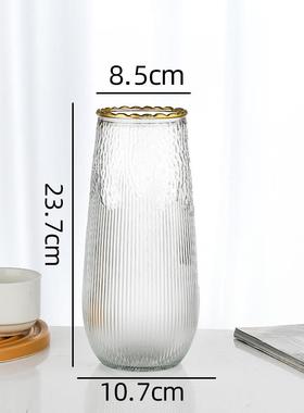 大号复古玻璃花瓶客厅摆件插花简约透明水养富贵竹鲜花专用水培瓶