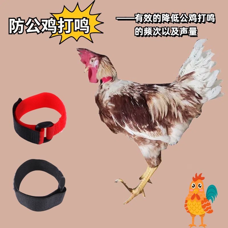 Anti-rooster crowing artifact belt to prevent roosters from crowing