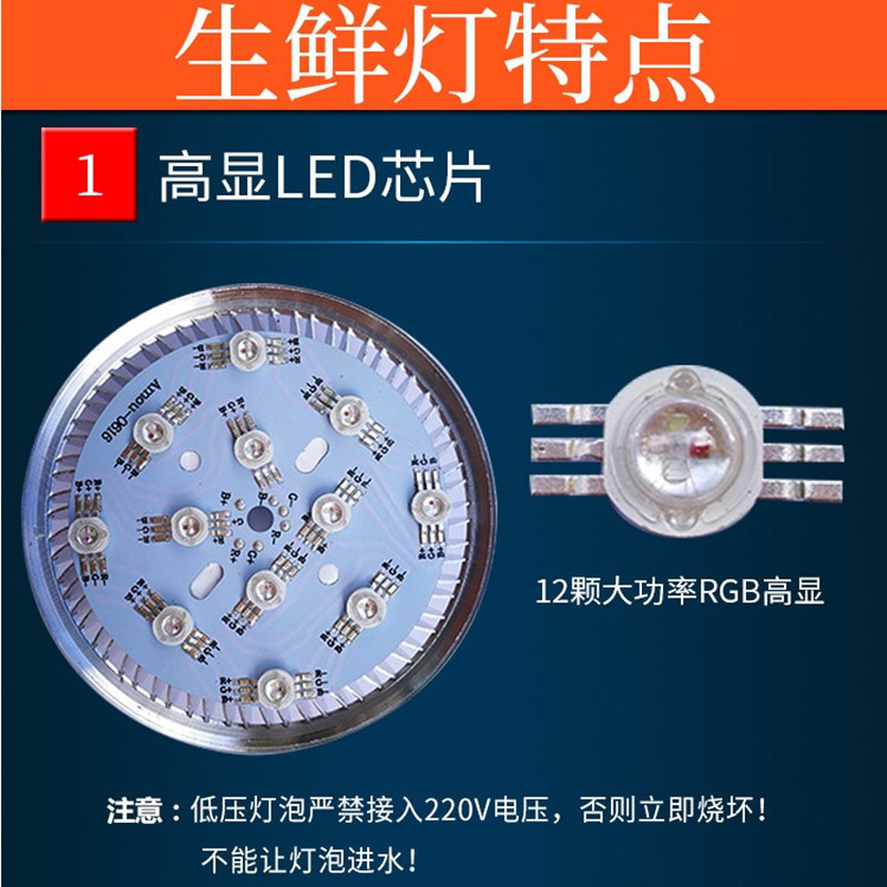 水果灯led生鲜灯电瓶12V摆摊熟食灯超亮鲜肉灯48V可调光变色灯泡-图1