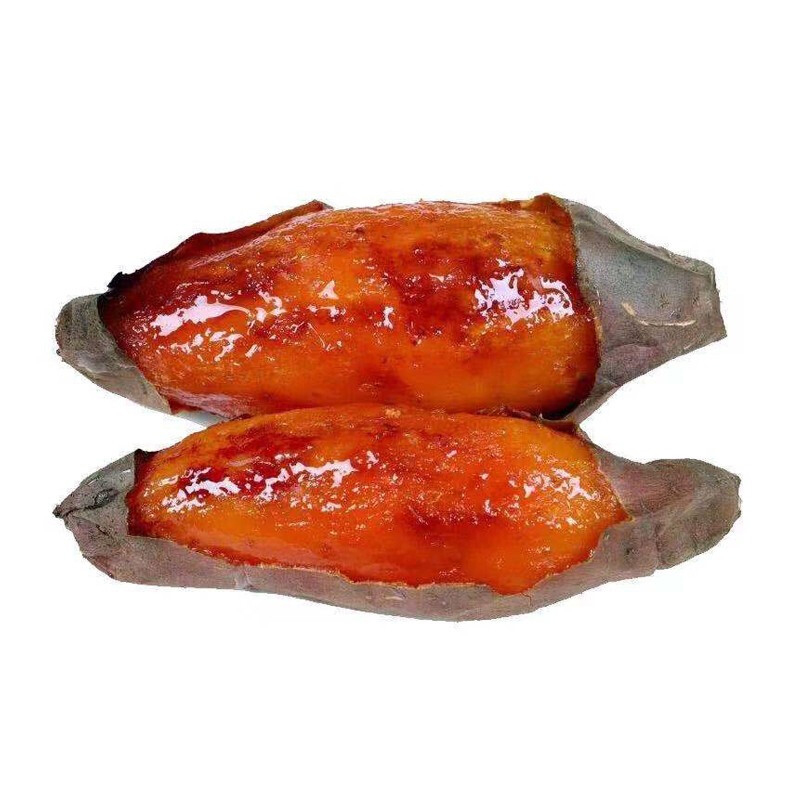 【精品】大连黄金蜜薯新鲜沙地红薯10斤糖心流油烤六鳌瓦房店地瓜