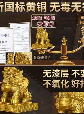 招财纯铜貔貅摆件一对聚财客厅