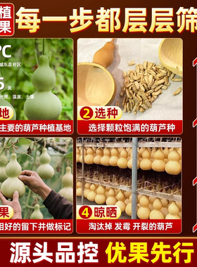 天然真葫芦挂件招财摆件八卦开口