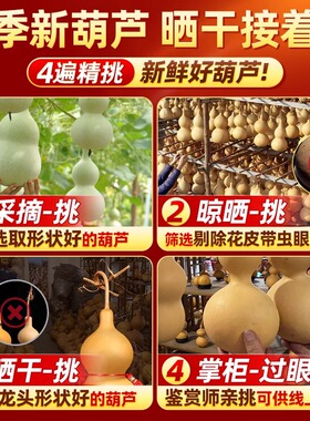 真天然葫芦挂件开口开盖葫芦摆件