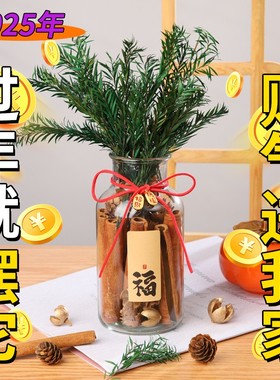 肉桂招财摆件聚财生财桂皮瓶diy