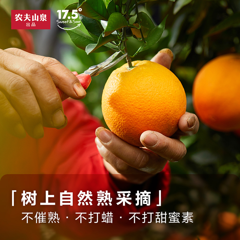 当季新鲜农夫山泉17.5°橙子脐橙5kg10斤 江西赣州南水果礼盒特产