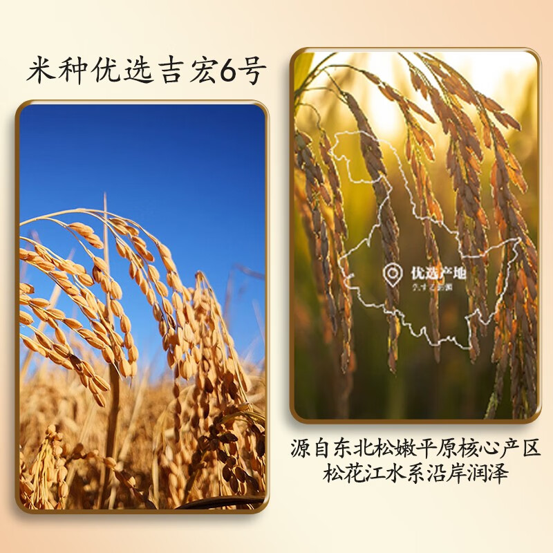 农夫山泉2024年新大米正宗东北香米 5斤10斤kg优质一级珍珠圆粒米