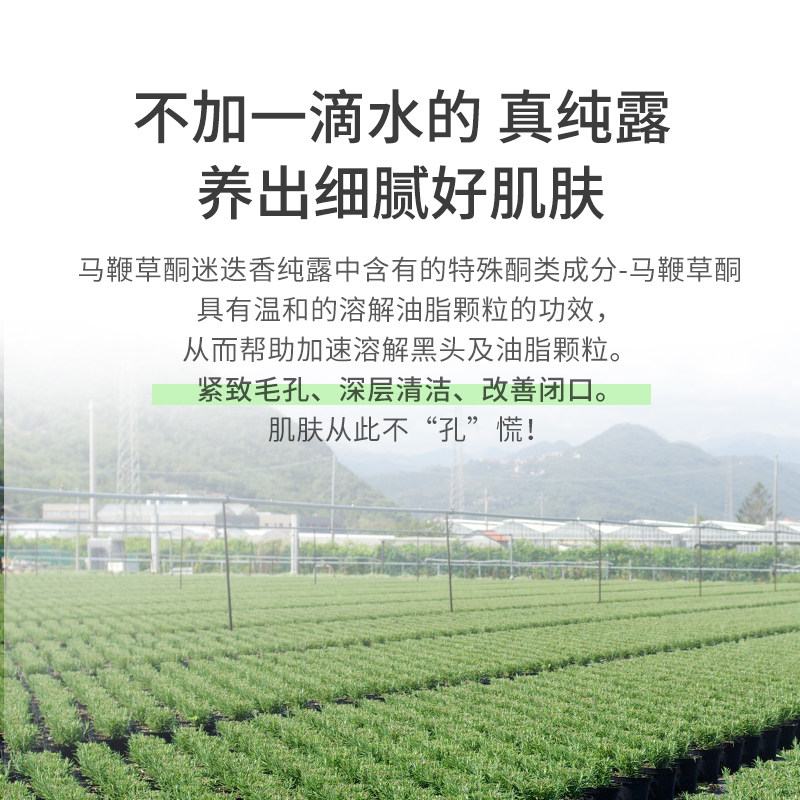 马鞭草酮迷迭香马迷纯露堵塞爽肤水 绿茶花纯露/花水